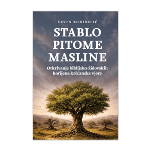 Stablo pitome masline